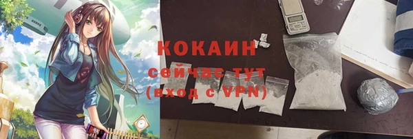 дмт Дрезна