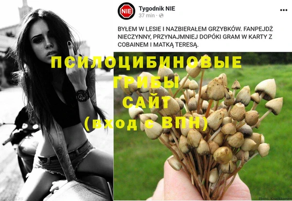 a pvp Пересвет