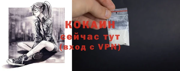a pvp Пересвет