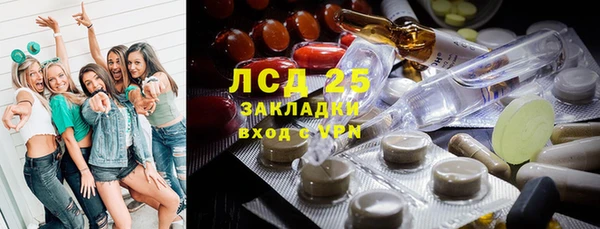 spice Пестово
