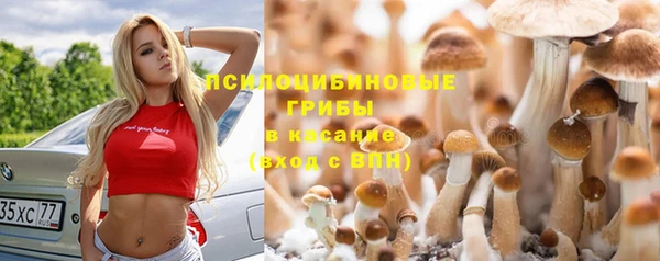 a pvp Пересвет