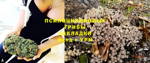 spice Пестово
