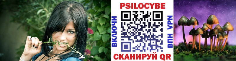 как найти   Россошь  Галлюциногенные грибы мицелий 