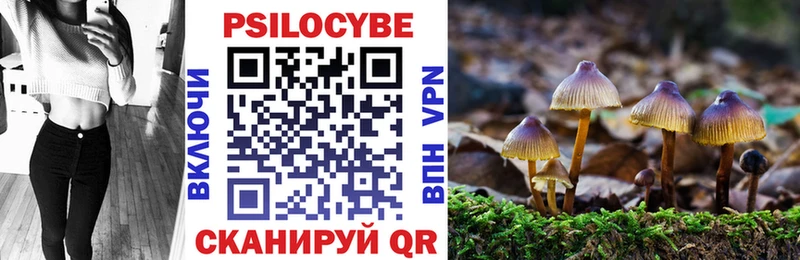 Галлюциногенные грибы Psilocybe Россошь