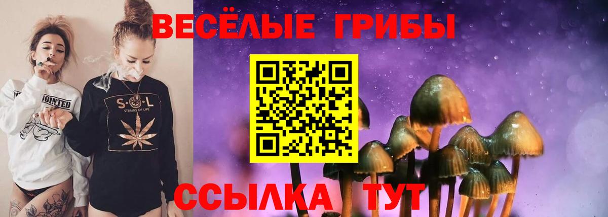 Галлюциногенные грибы прущие грибы  Вход с VPN  Россошь  Псилоцибиновые грибы Psilocybe 